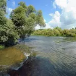 Visite de la petite Camargue