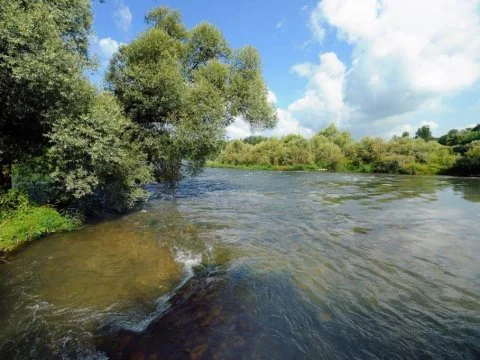 Visite de la petite Camargue